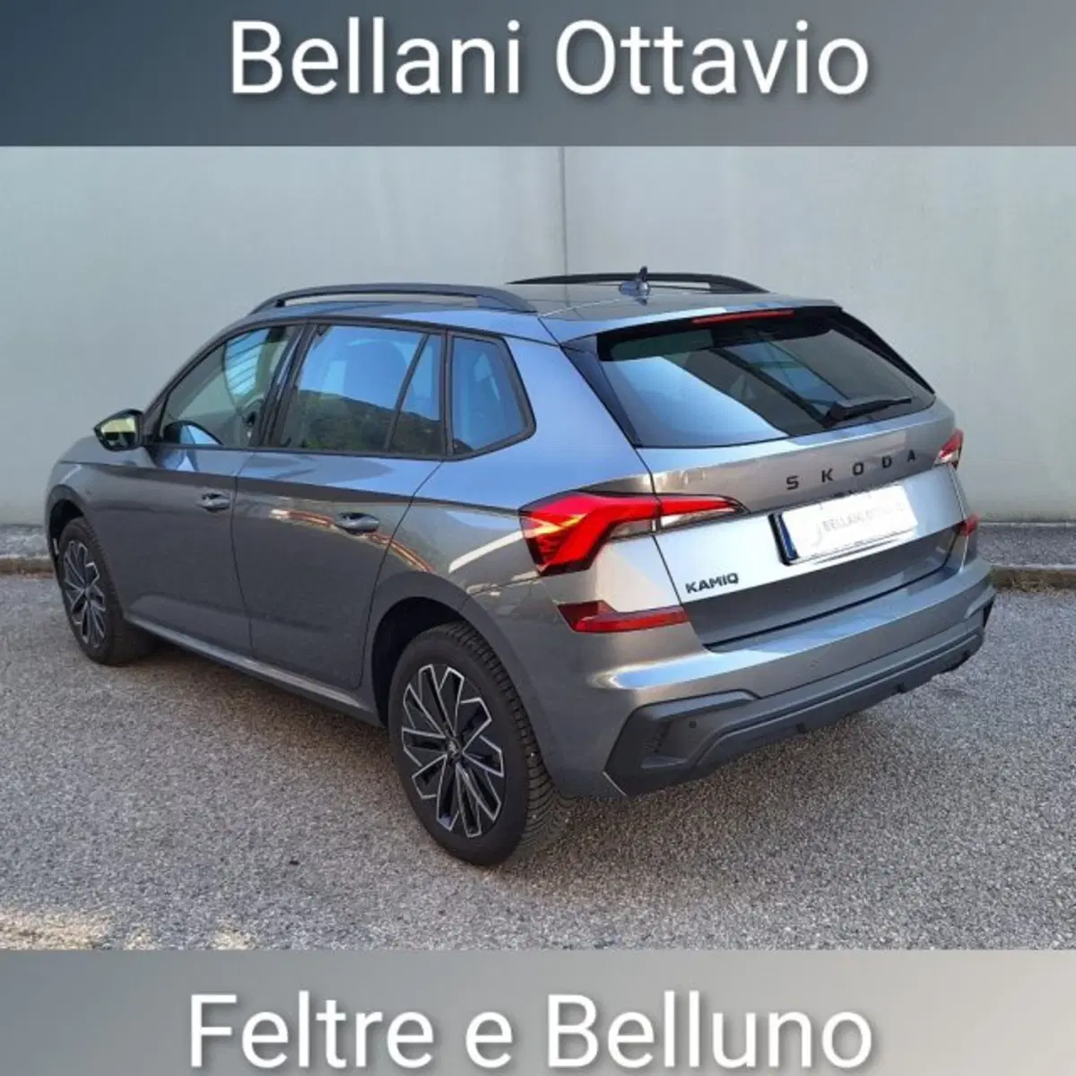 Skoda Kamiq usata a Belluno (7)