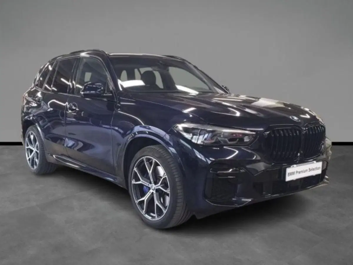 BMW X5 usata a Verona (16)