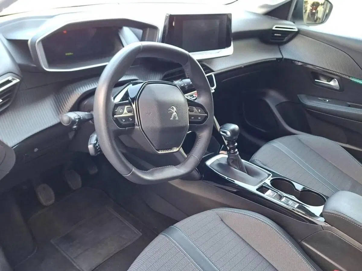 Peugeot 208 usata a Torino (11)