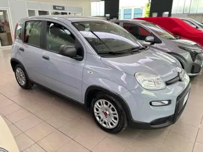 Fiat Panda 1.0 firefly hybrid s&amp;s 70cv 5p.ti del 2023 usata a Pesaro