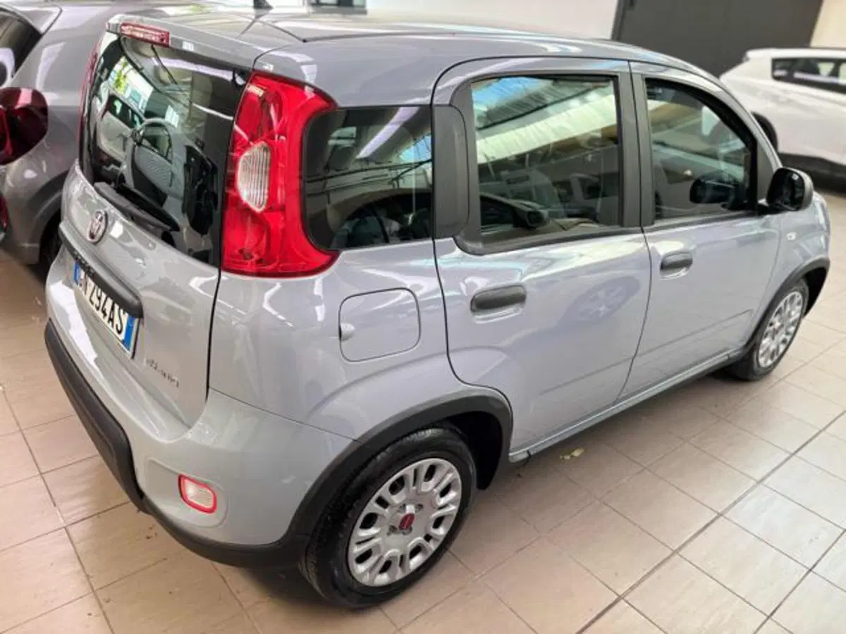 Fiat Panda usata a Pesaro-Urbino (4)