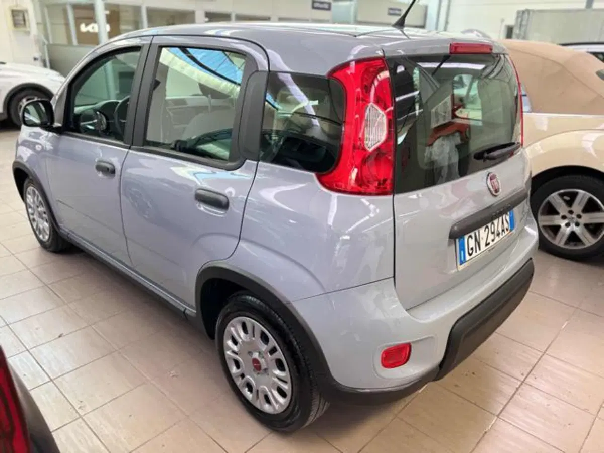 Fiat Panda usata a Pesaro-Urbino (5)