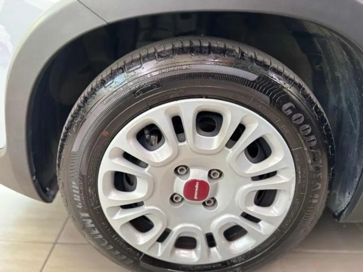 Fiat Panda usata a Pesaro-Urbino (6)