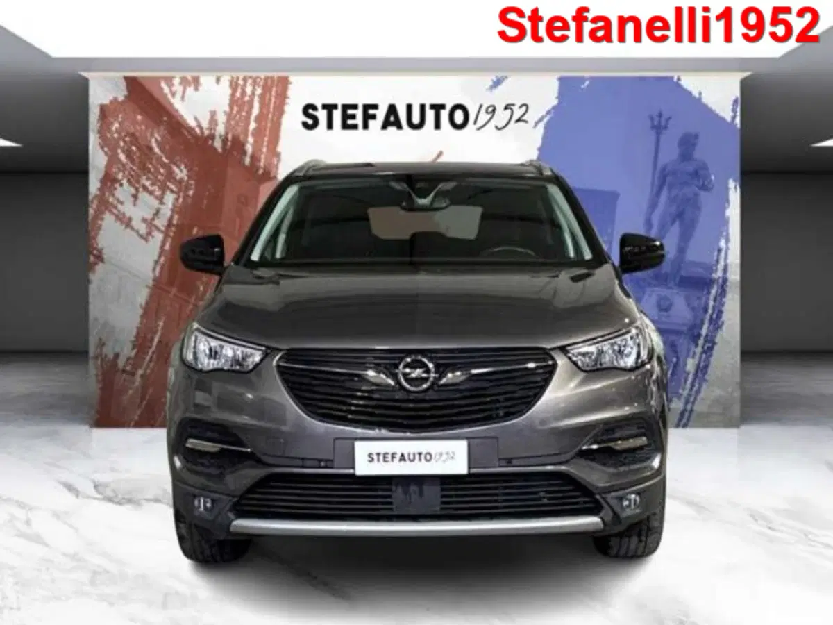 Opel Grandland X usata a Bologna (2)