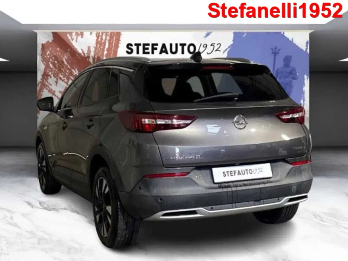 Opel Grandland X usata a Bologna (5)