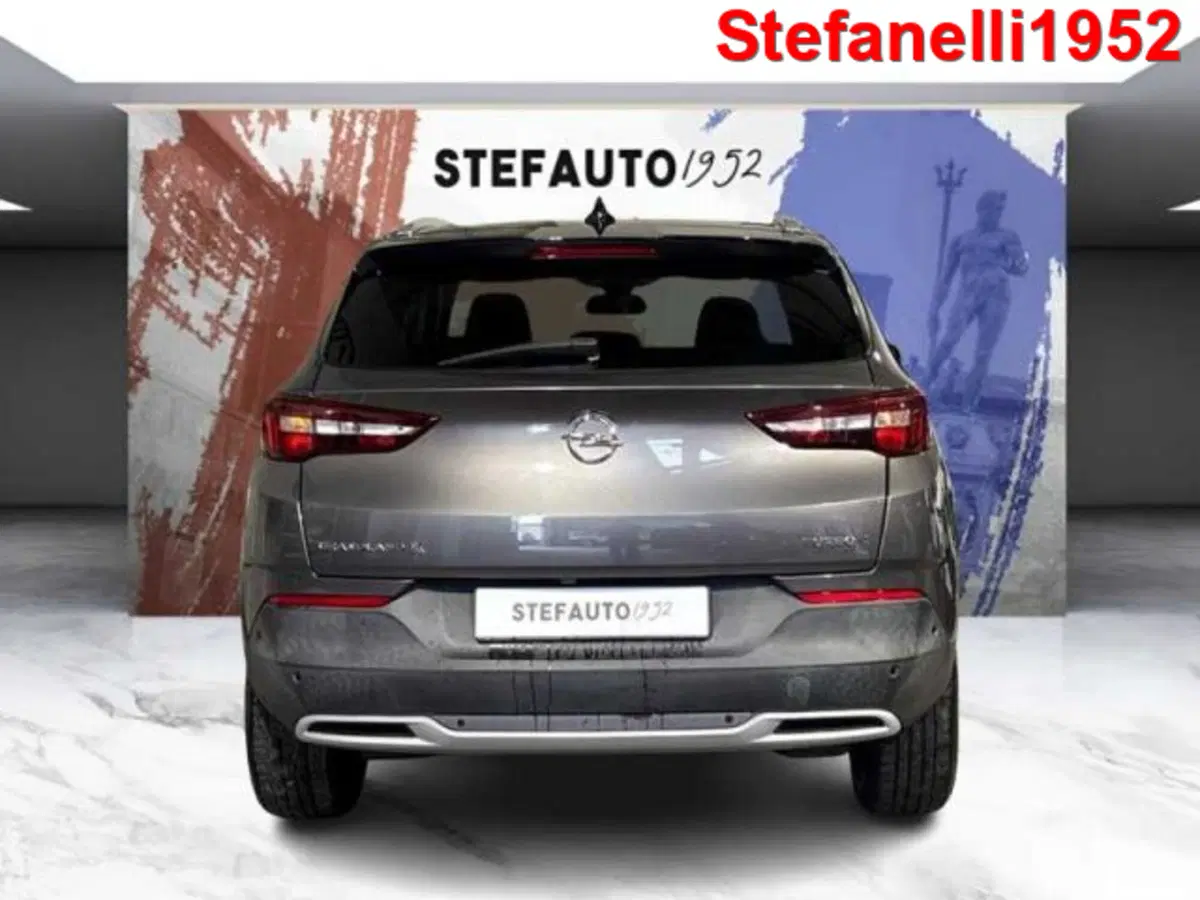 Opel Grandland X usata a Bologna (6)