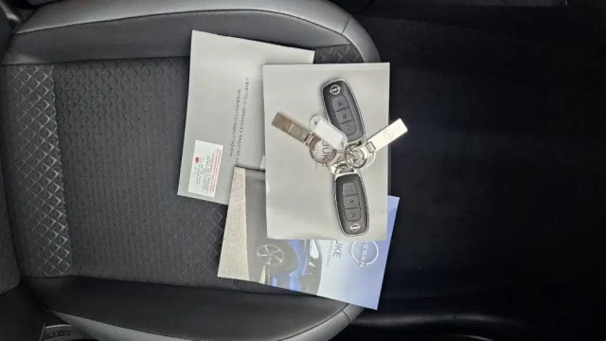 Nissan Juke usata a Lucca (8)