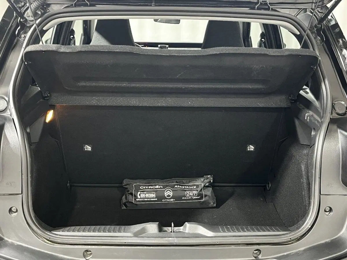 Citroen C3 usata a Sondrio (15)