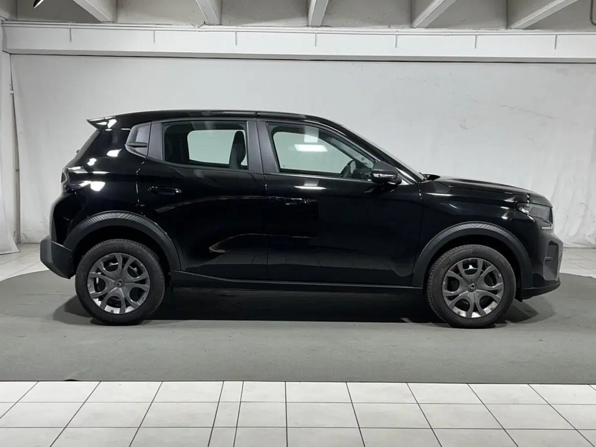 Citroen C3 usata a Sondrio (6)