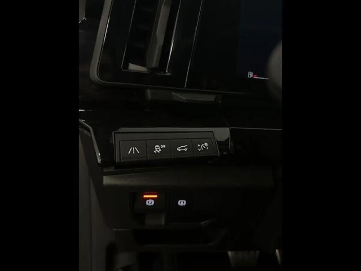 Renault Austral usata a Siena (10)