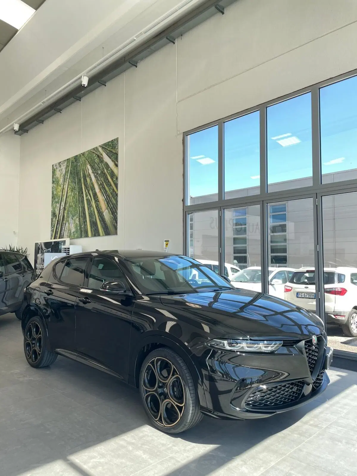 Alfa Romeo Tonale usata a Sassari (2)