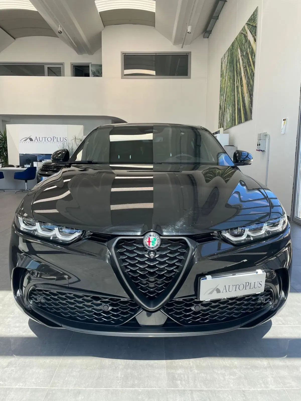 Alfa Romeo Tonale usata a Sassari (6)