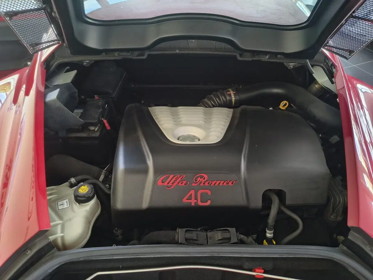 Alfa Romeo 4C Coupé usata a Firenze (10)