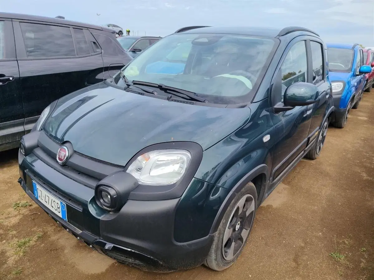 Fiat Panda Cross usata a Perugia