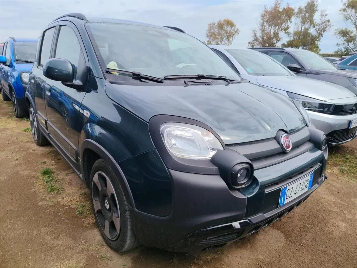 Fiat Panda Cross usata a Perugia (5)