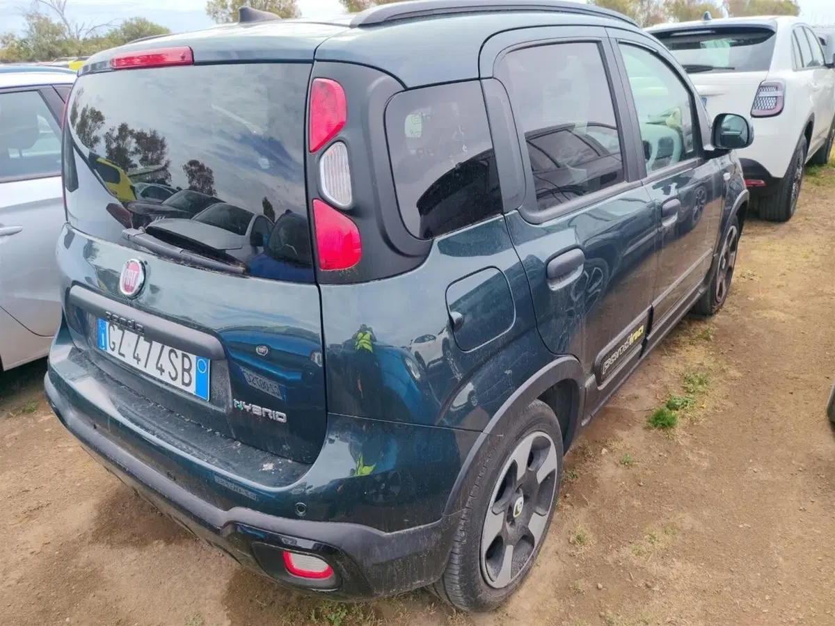 Fiat Panda Cross usata a Perugia (6)