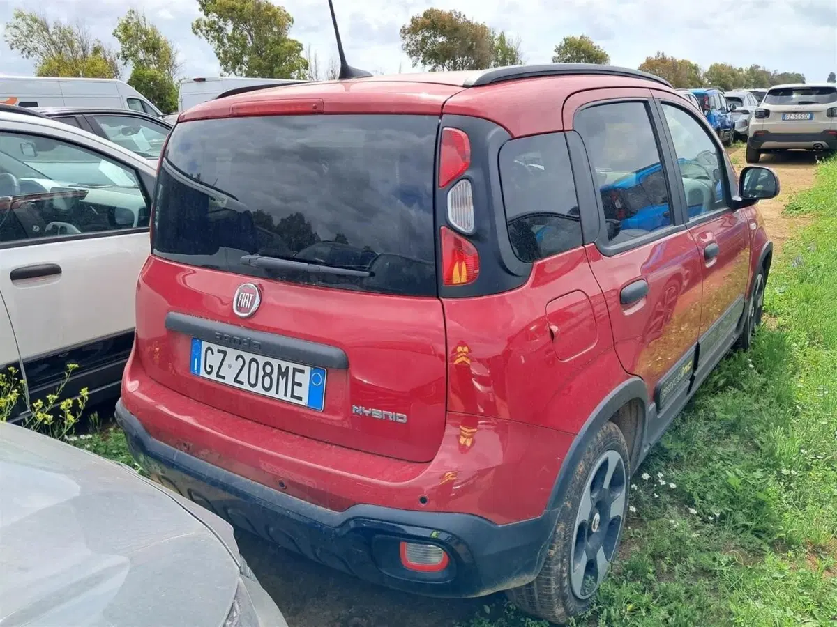 Fiat Panda Cross usata a Perugia (2)