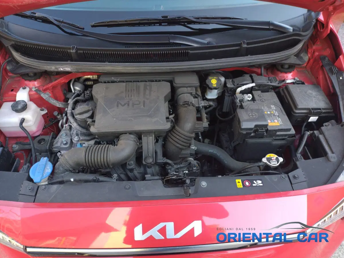 Kia Picanto usata a La Spezia (15)