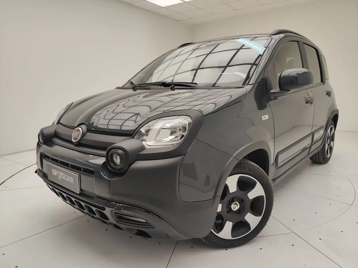 Fiat Pandina usata a Como