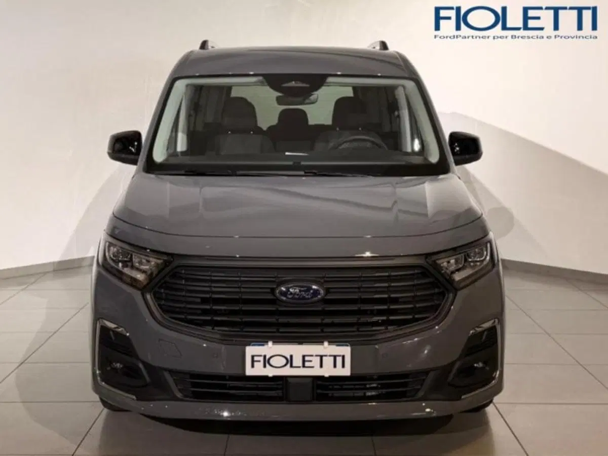 Ford Tourneo Connect usata a Brescia (3)