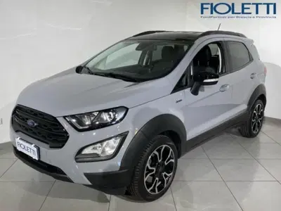 Ford EcoSport 1.0 EcoBoost 125 CV Start&amp;Stop Active del 2023 usata a Concesio
