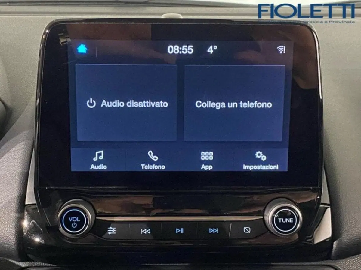 Ford EcoSport usata a Brescia (9)