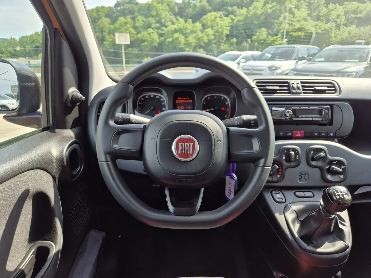 Fiat Panda usata  (14)