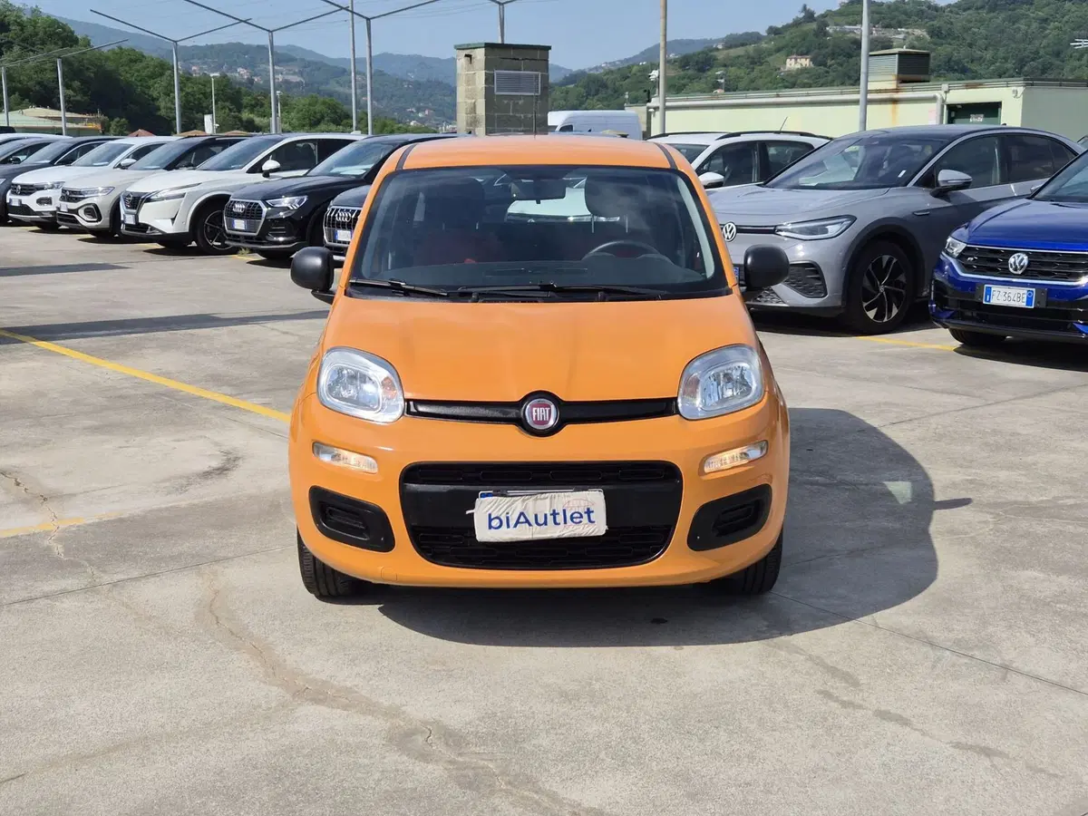 Fiat Panda usata  (2)