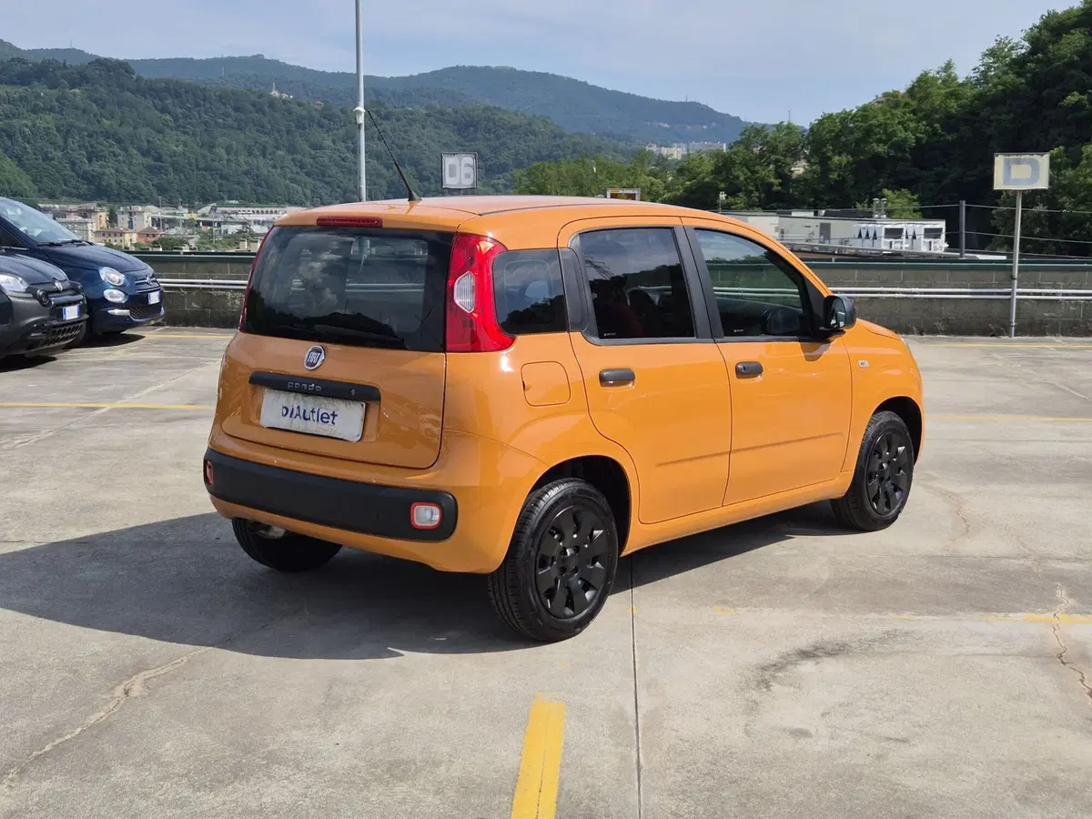 Fiat Panda usata  (4)