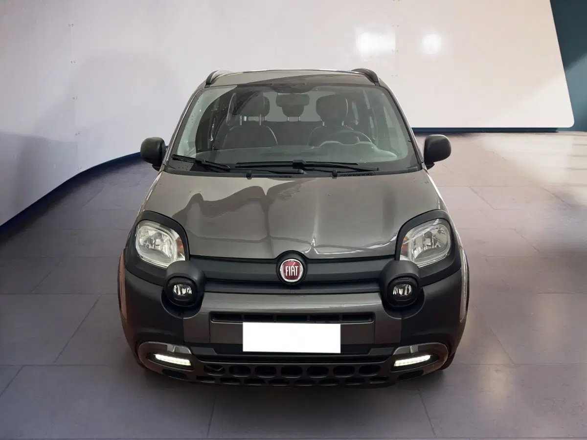 Fiat Panda usata a Torino