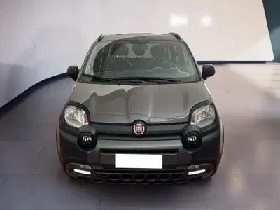 Fiat Panda 1.0 FireFly S&amp;S Hybrid City Cross del 2022 usata a Torino