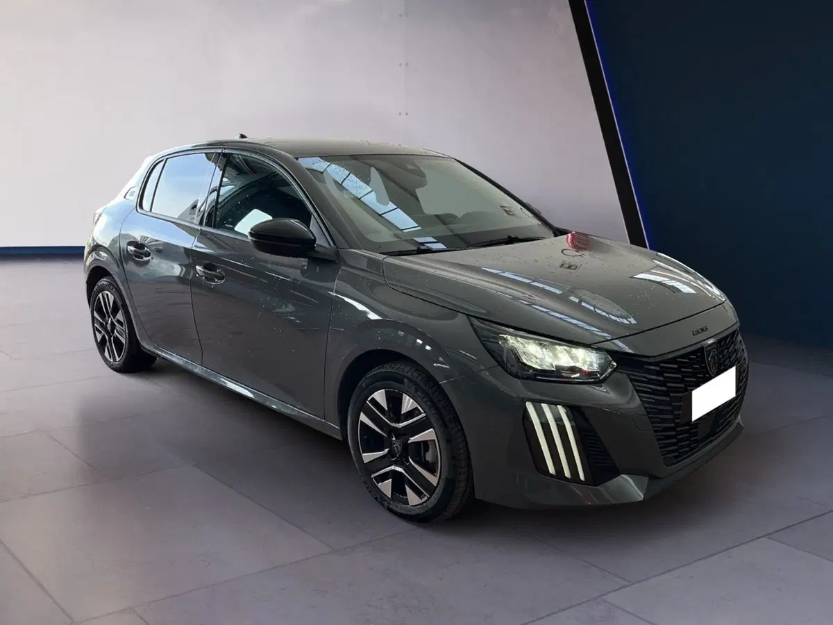Peugeot 208 usata a Torino (2)