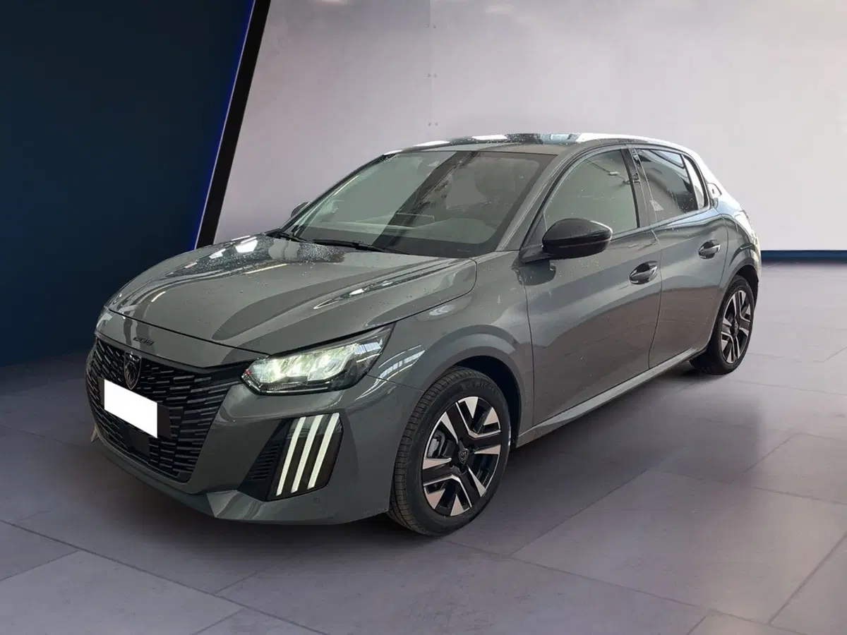 Peugeot 208 usata a Torino (3)