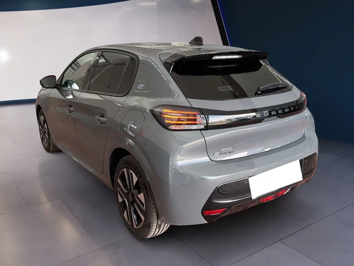 Peugeot 208 usata a Torino (4)