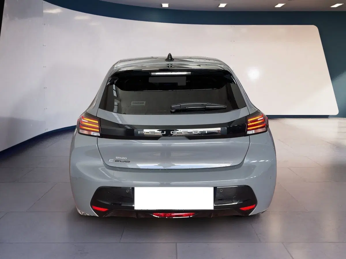 Peugeot 208 usata a Torino (5)