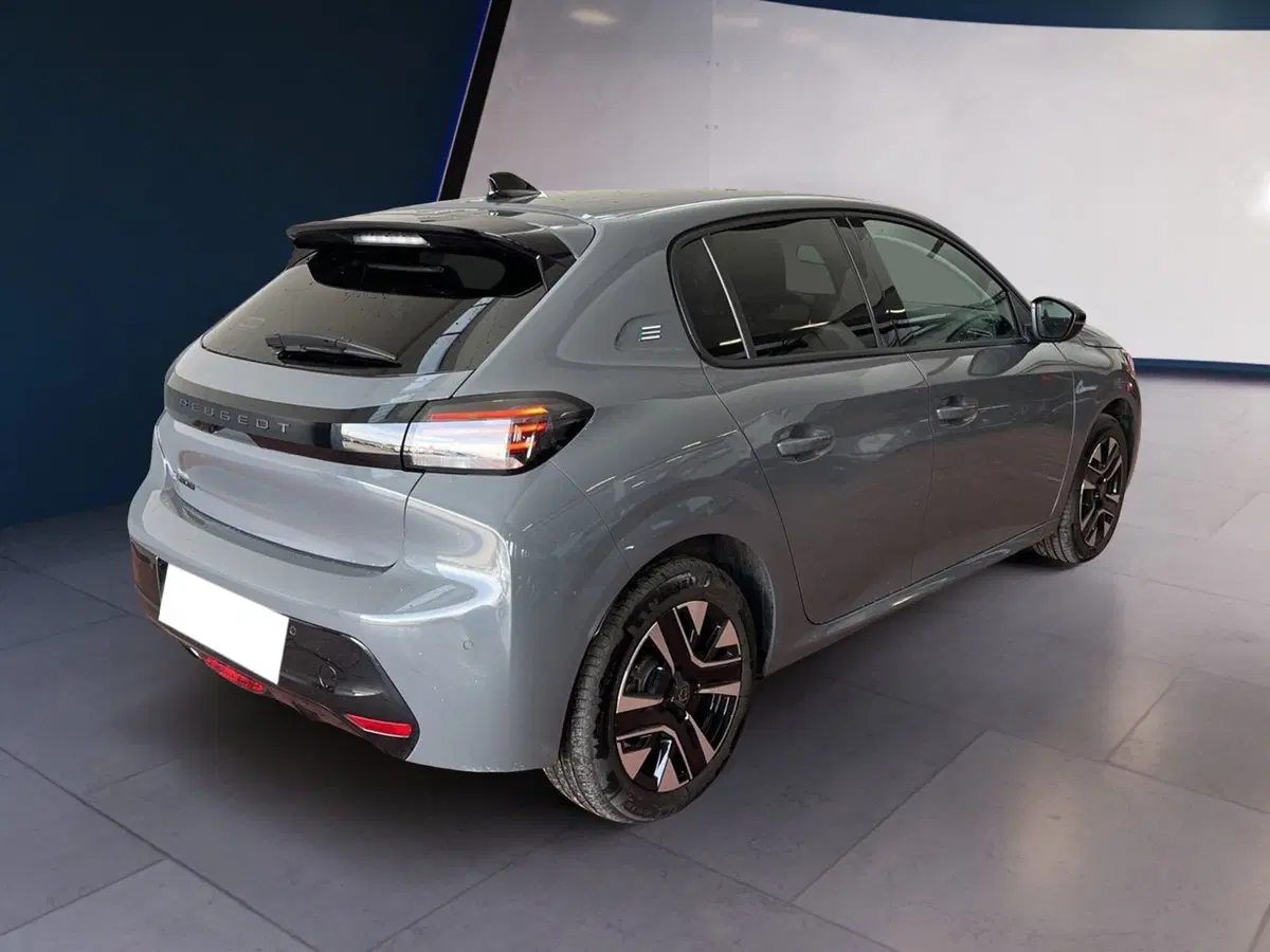 Peugeot 208 usata a Torino (6)