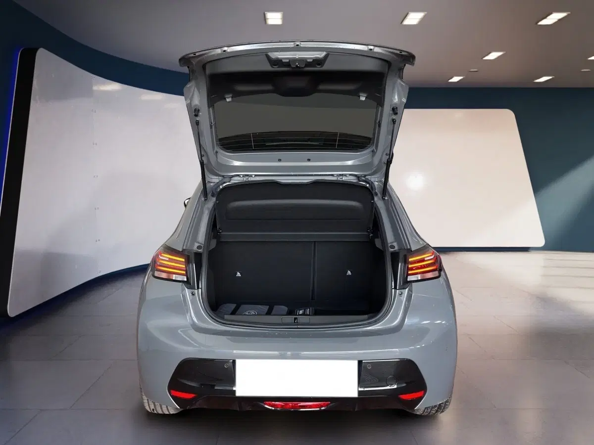 Peugeot 208 usata a Torino (8)