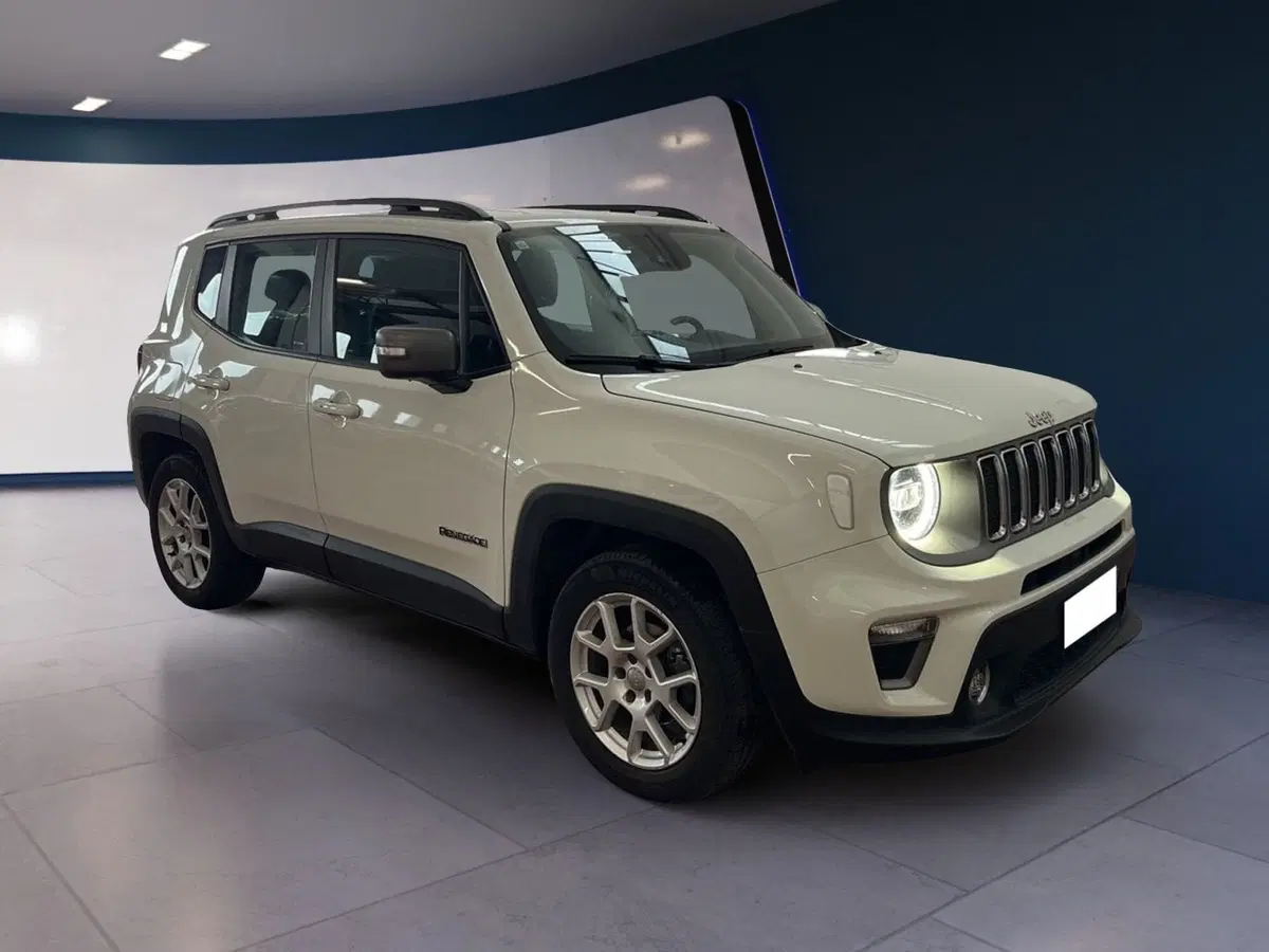 Jeep Renegade usata a Torino (2)
