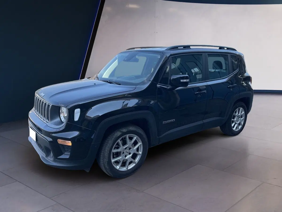 Jeep Renegade usata a Torino (2)