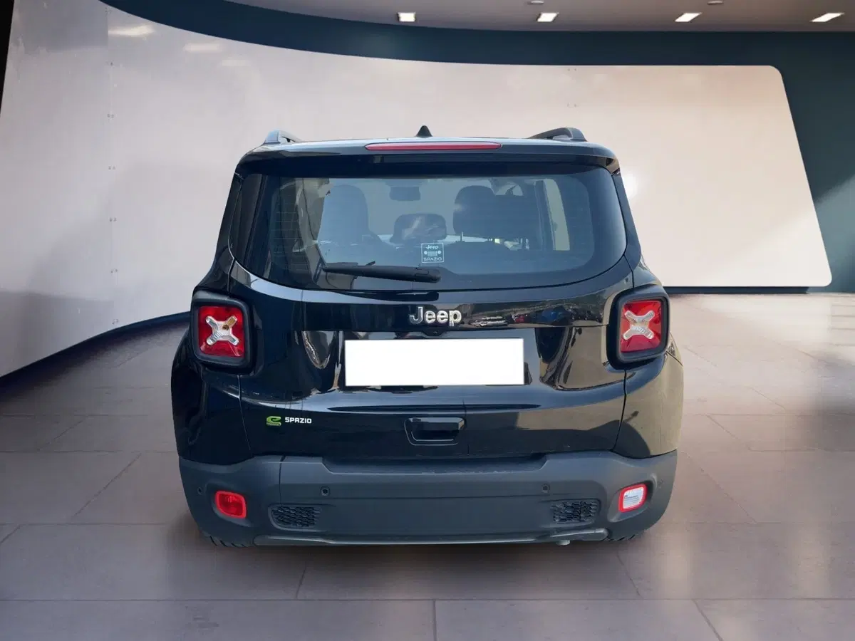 Jeep Renegade usata a Torino (5)