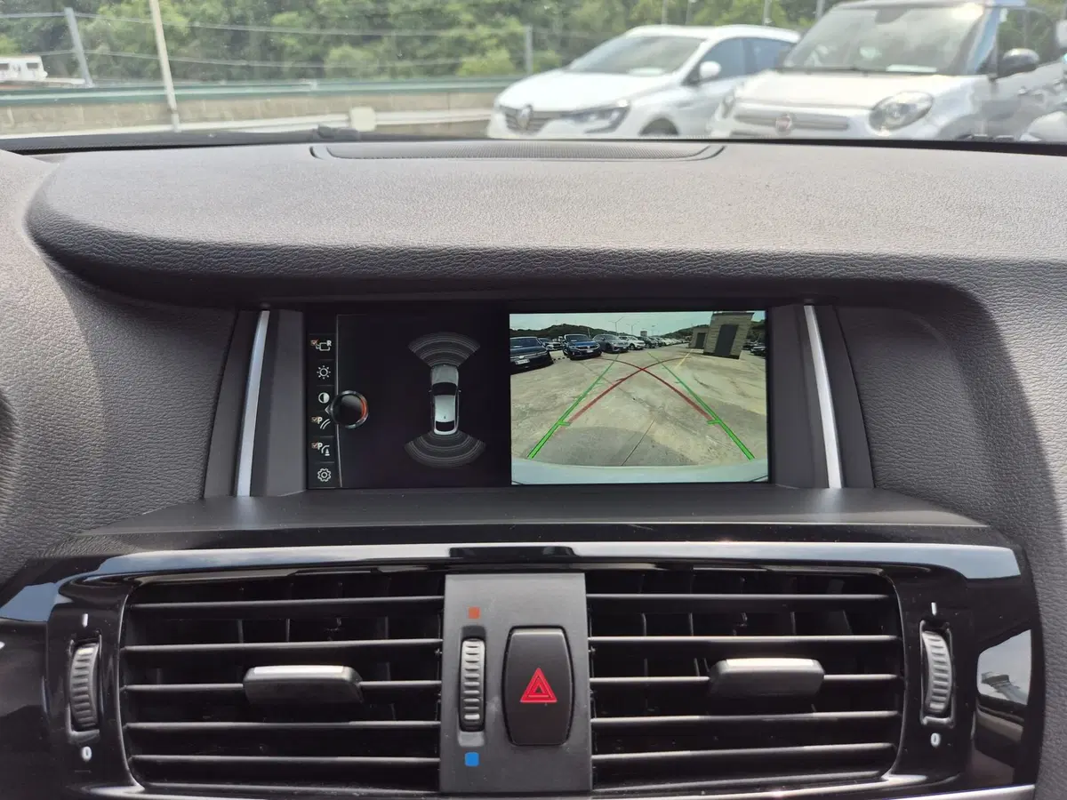 BMW X4 usata  (14)