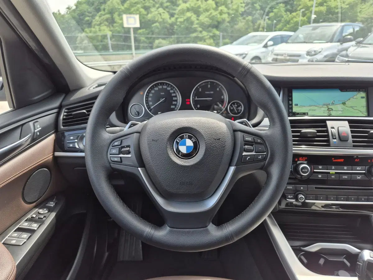 BMW X4 usata  (18)