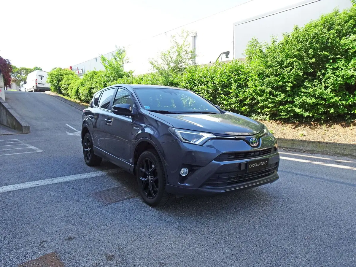 Toyota Rav4 usata a Treviso (4)