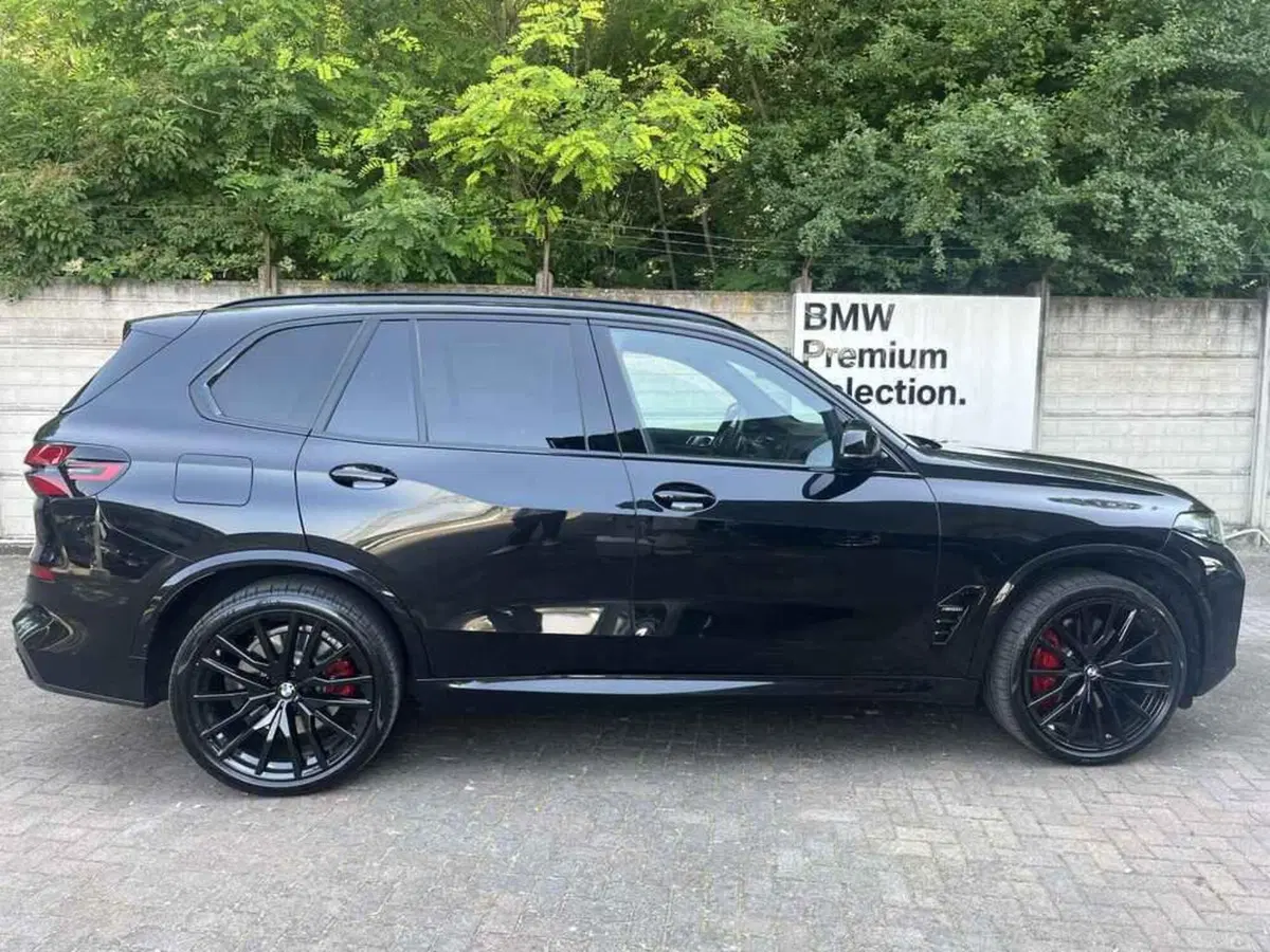 BMW X5 usata a Alessandria (4)