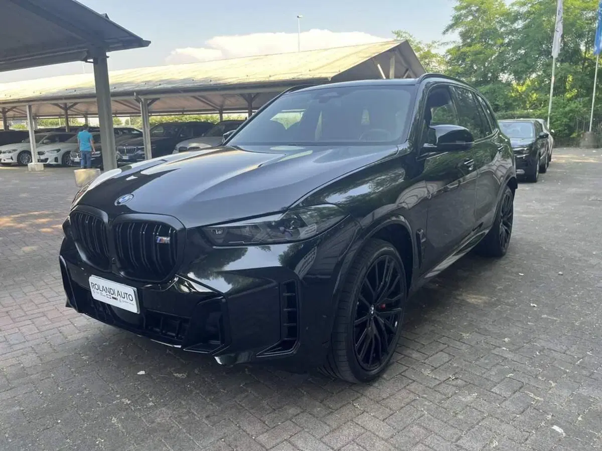 BMW X5 usata a Alessandria (8)