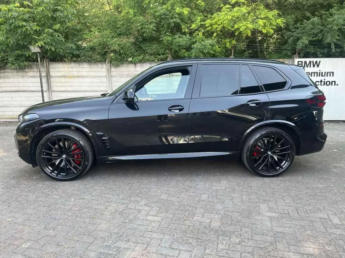 BMW X5 usata a Alessandria (9)