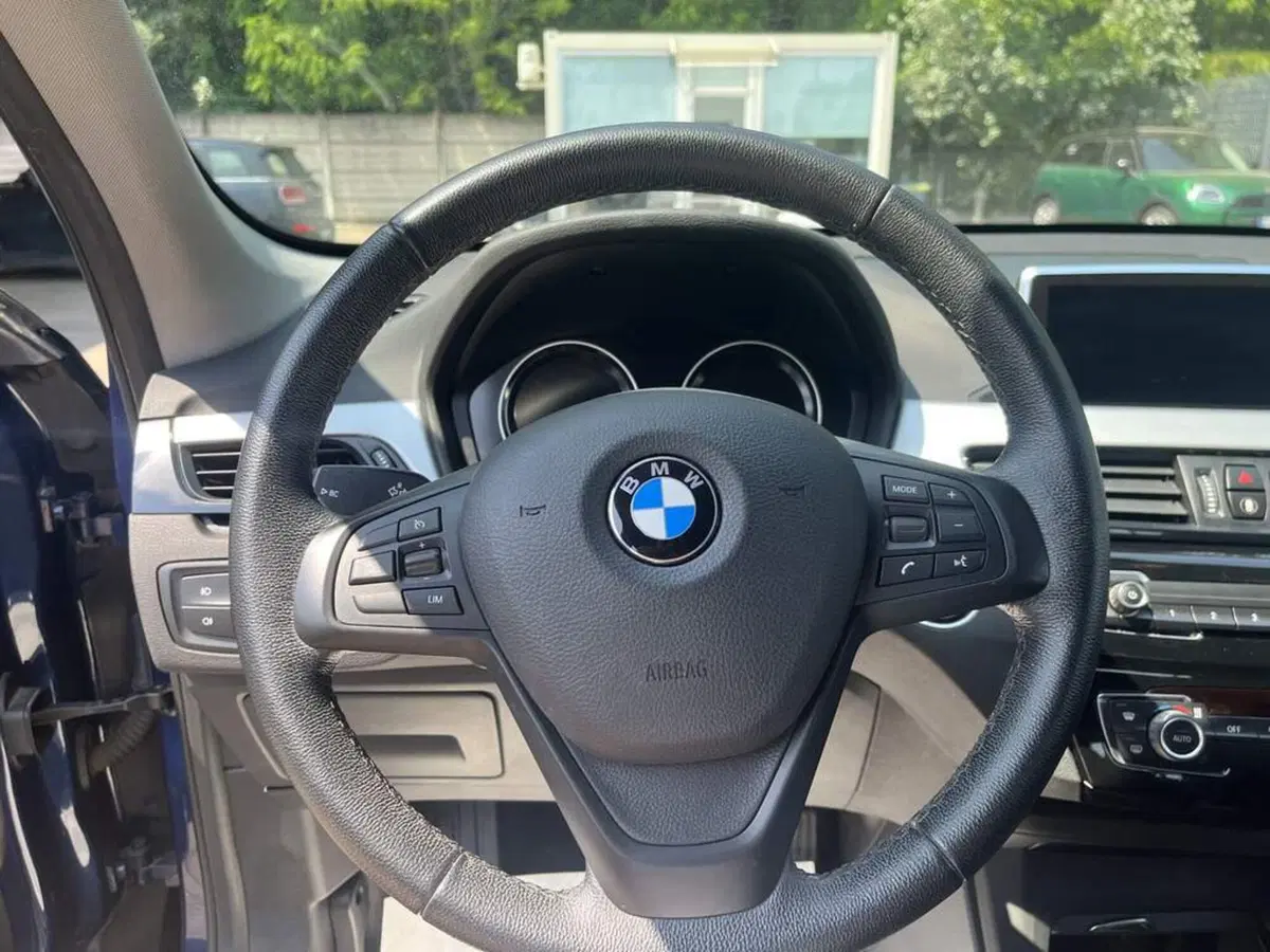 BMW X1 usata a Alessandria (14)