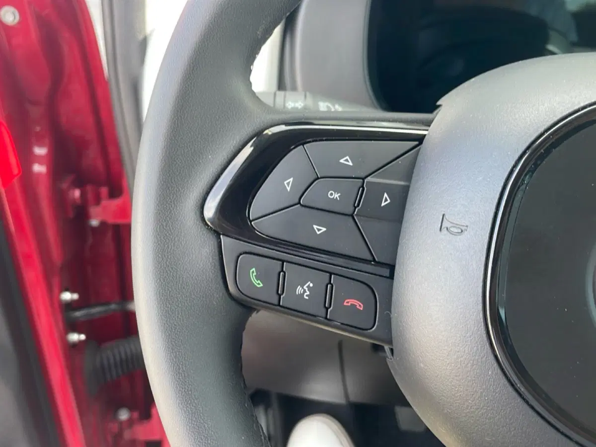 Fiat Panda Cross usata a Bologna (18)