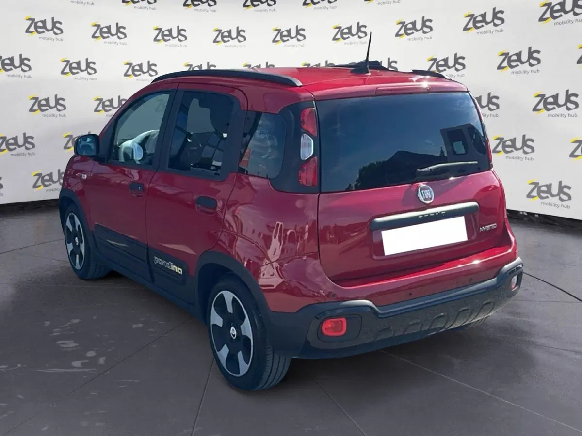 Fiat Panda Cross usata a Bologna (4)
