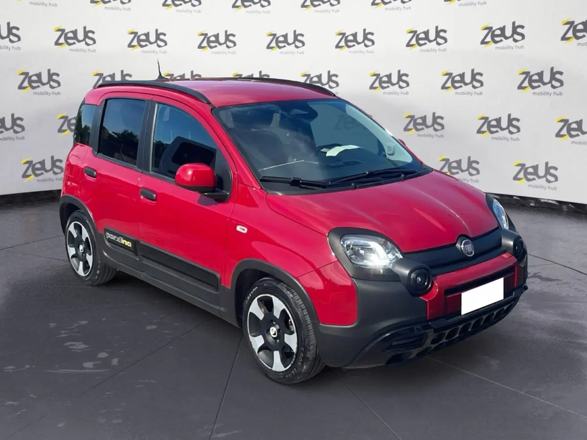 Fiat Panda Cross usata a Bologna (8)